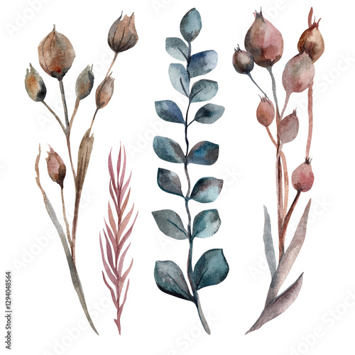 Three different types of flowers are painted in watercolor