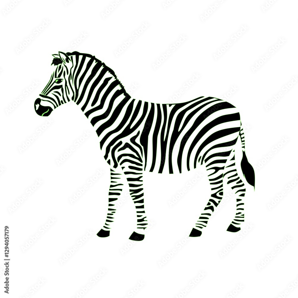 Obraz premium zebra vector illustration