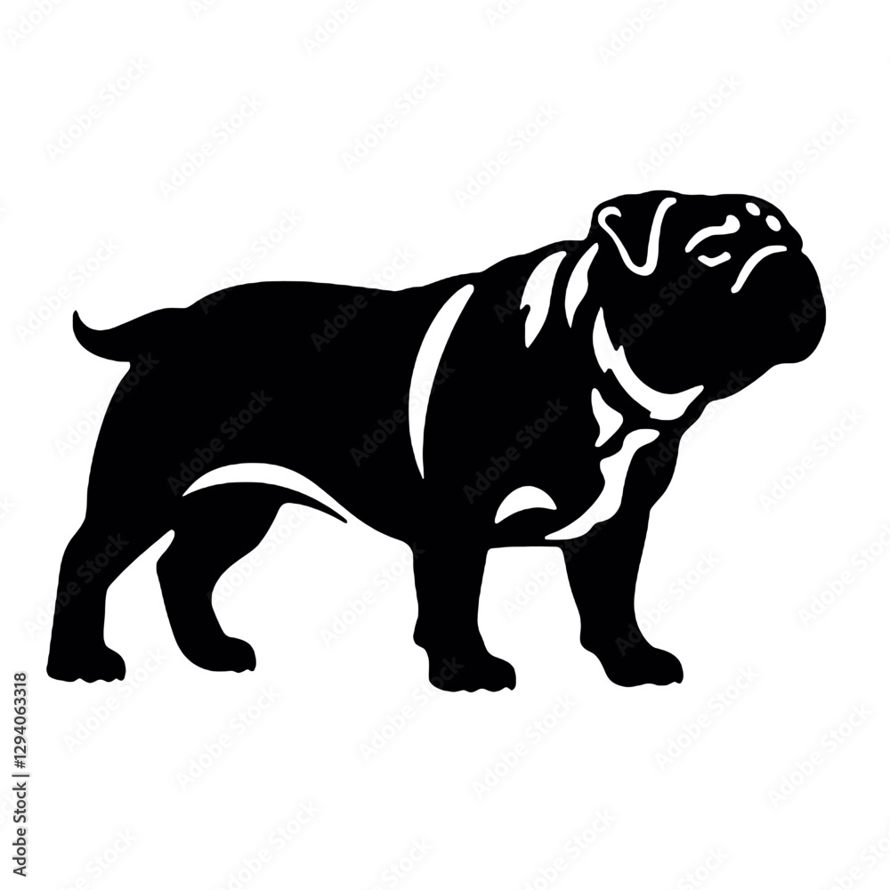 Obraz premium English bulldog vector