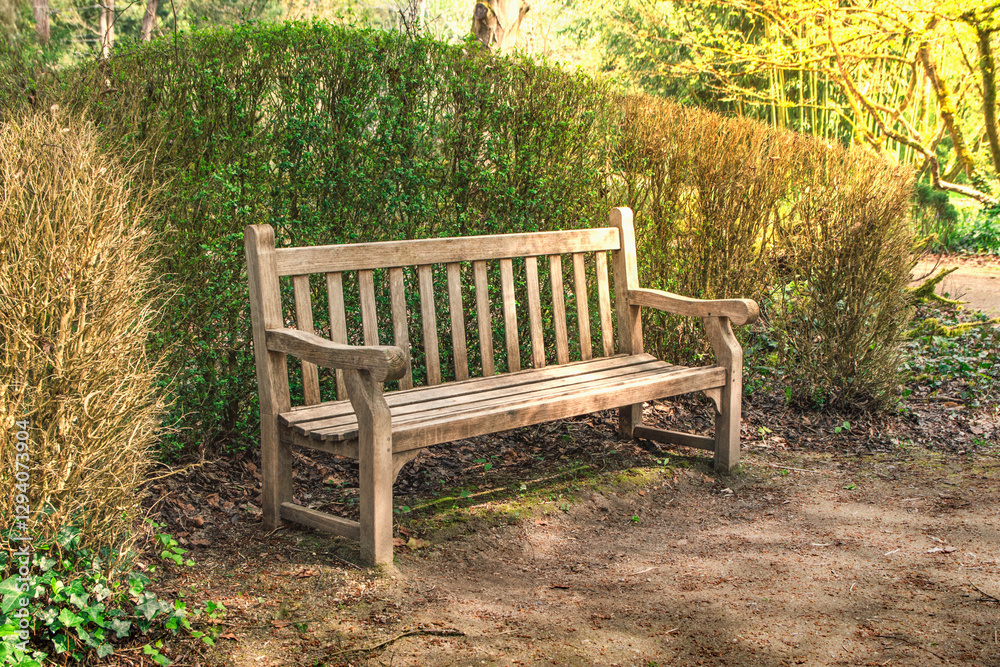 Sunny weather in autumn park. Lonely wooden bench in the rays of autumn sun Sunny weather in autumn park. Lonely wooden bench in the rays of autumn sun