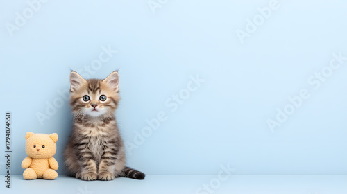 Obraz na płótnie Single Fluffy Kitten Sitting on a Grey Background, Soft and Adorable
w salonie