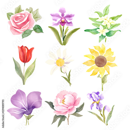 set of flowers watercolor