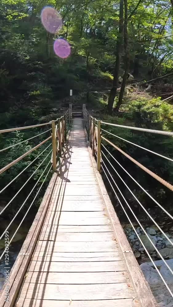 Wooden suspension bridge crossing over a clear stream in tolmin gorge, slovenia, surrounded by lush green foliage on a sunny summer day Wooden suspension bridge crossing over a clear stream in tolmin gorge, slovenia, surrounded by lush green foliage on a sunny summer day