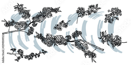 Hand drawn line art cherry blossoms on branches. Vector illustrations set of spring flowers. Elegant sketchy doodles of beautiful flowers. Graphic assets for print and online designs.
