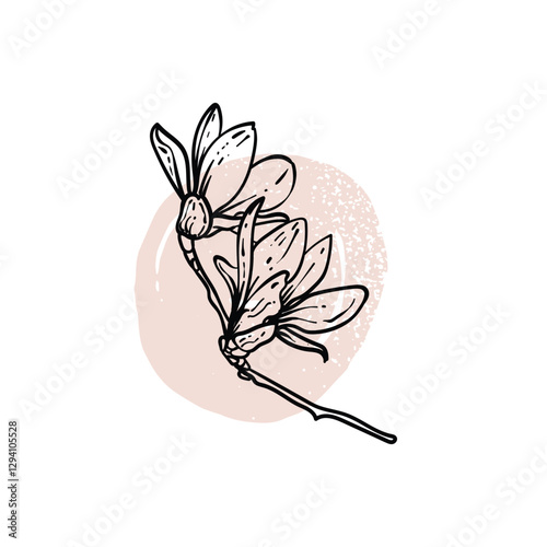 Hand drawn line art magnolia. Vector illustration of spring flowers. Elegant doodle of beautiful flowers on pastel beige sketched background. Graphic assets for print and online designs.
