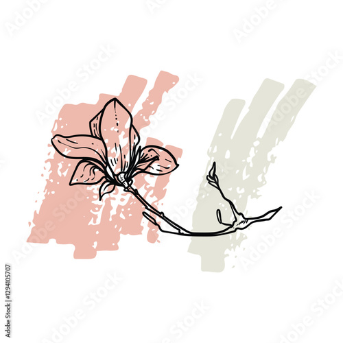Hand drawn line art magnolia. Vector illustration of spring flowers. Elegant doodle of beautiful flowers on pastel beige and green sketched background. Graphic assets for print and online designs.