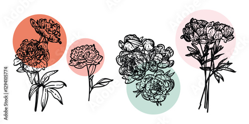 Hand drawn line art peonies on stems with blooms. Vector illustrations set of spring flowers. Elegant sketchy doodles of beautiful flowers. Graphic assets for print and online designs.