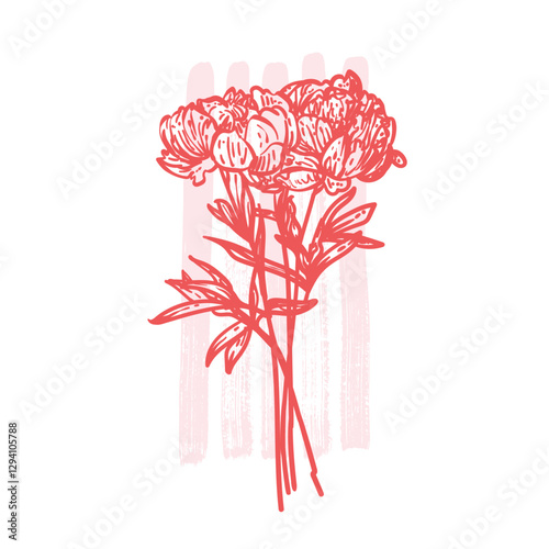 Hand drawn line art peonies bouquet. Vector illustration of spring flowers. Elegant coral red doodle of beautiful flowers on pink sketched background. Graphic assets for print and online designs.