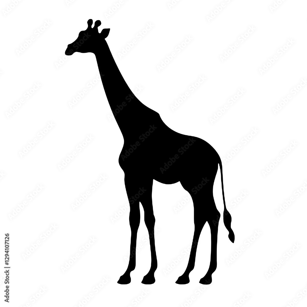 Fototapeta premium giraffe silhouette isolated on white