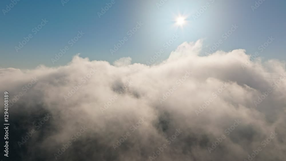 Sun morning forest mist dawn sunrise tree landscape nature aerial