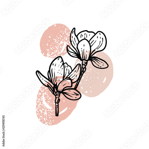 Hand drawn line art magnolias in bloom. Vector illustration of spring flowers. Elegant doodle of beautiful flowers on beige sketched background. Graphic assets for print and online designs.