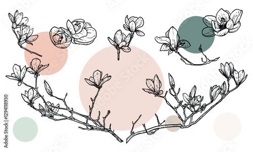 Hand drawn line art magnolias on branches or in bloom. Vector illustrations set of spring flowers. Elegant sketchy doodles of beautiful flowers. Graphic assets for print and online designs.