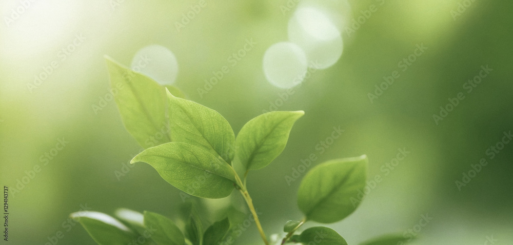 a leaf bokeh background, creating a professional and sophisticated visual that celebrates the milestone. a leaf bokeh background, creating a professional and sophisticated visual that celebrates the milestone.