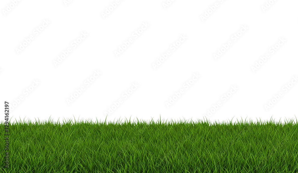 Dense Green Grass Border Isolated on a Transparent Background Dense Green Grass Border Isolated on a Transparent Background