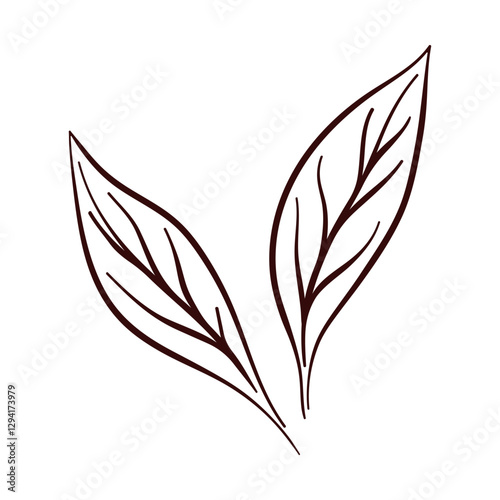 Elegant Leaf Design of lemon in line art style. Botanical design for aromatherapy, organic cosmetics, medicine isolated on a white background.