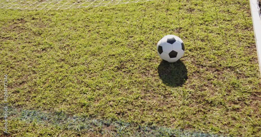 Soccer ball on grass field near goal net in school playground Soccer ball on grass field near goal net in school playground