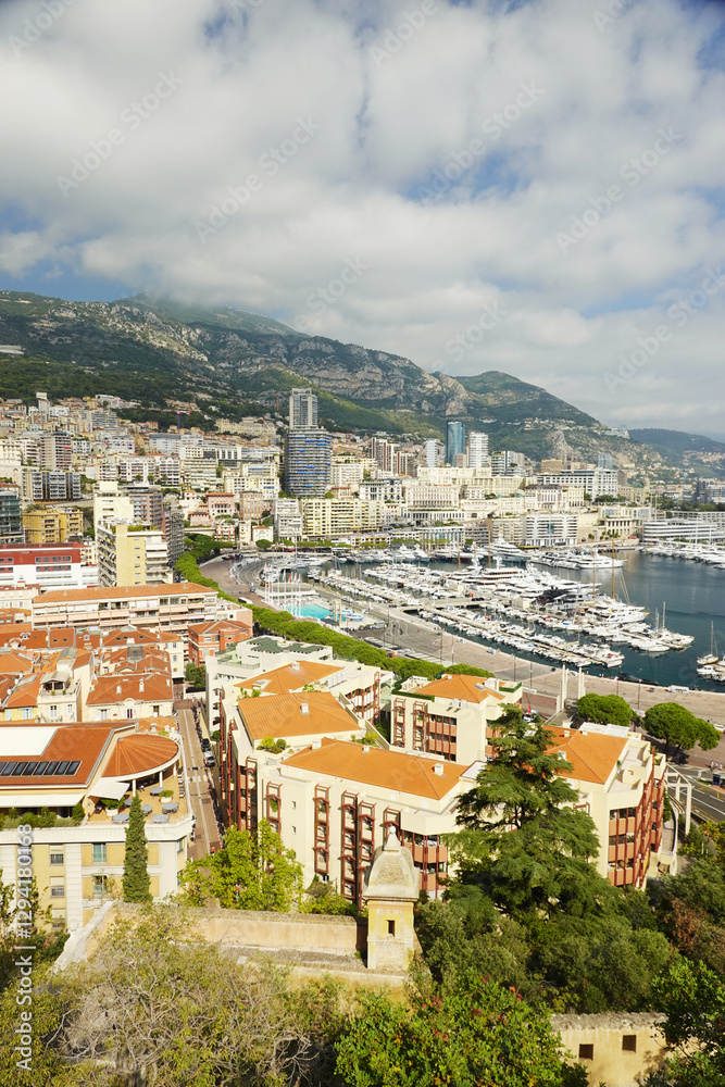 Naklejka premium The marina and panorama of skyscrapers in Monaco
