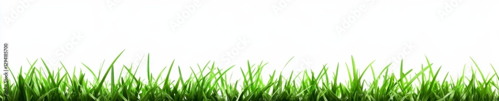 Fototapeta premium Lush green grass blades thrive against a clean white backdrop creating a vibrant spring or summer nature scene.