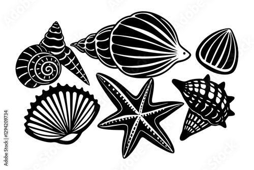 Sea shells and starfish 