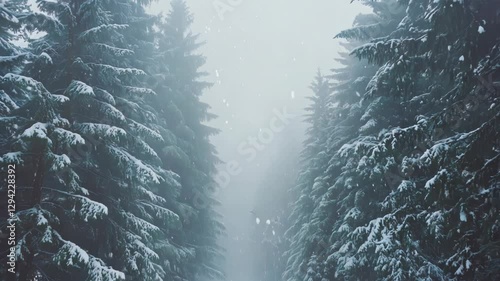 Winter Snowflake Wonderland