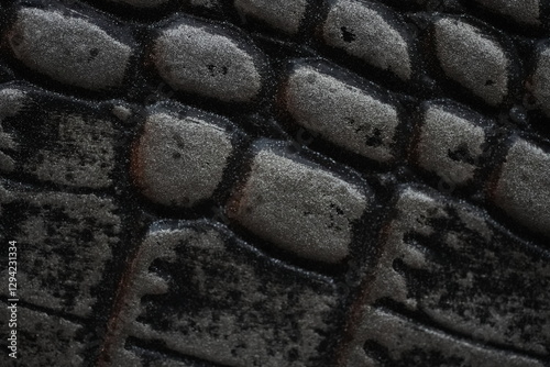 snakeskin texture