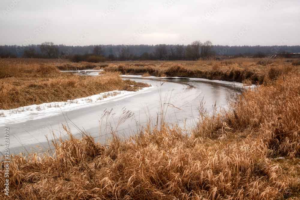 Odwilż nad rzeką Narew, Podlasie, Polska