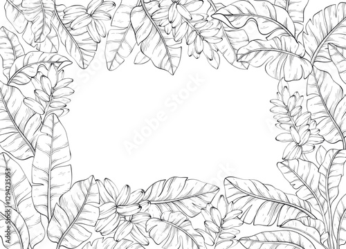 line art square frame adorned with Tropical vector banana palm leaves and flowers, Exotic background
