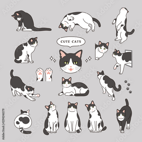 線ありのかわいい白黒猫のイラスト