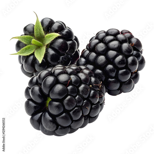 Juicy Blackberries A Burst of Freshness and Flavor