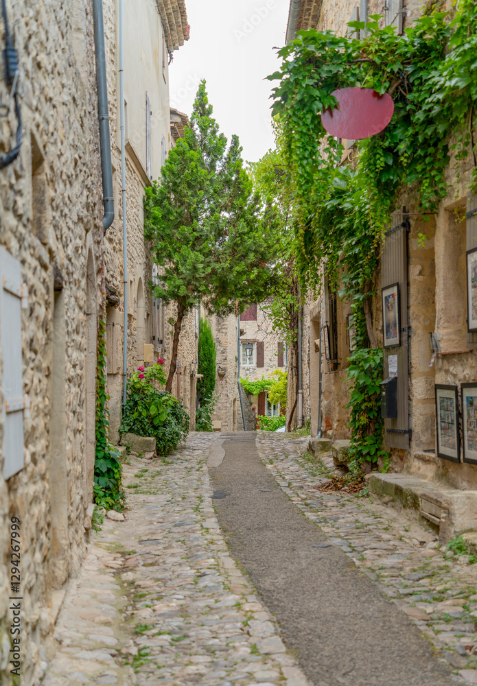 Fototapeta premium Vaison-la-Romaine