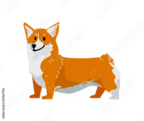 Pembroke Welsh Corgi Dog