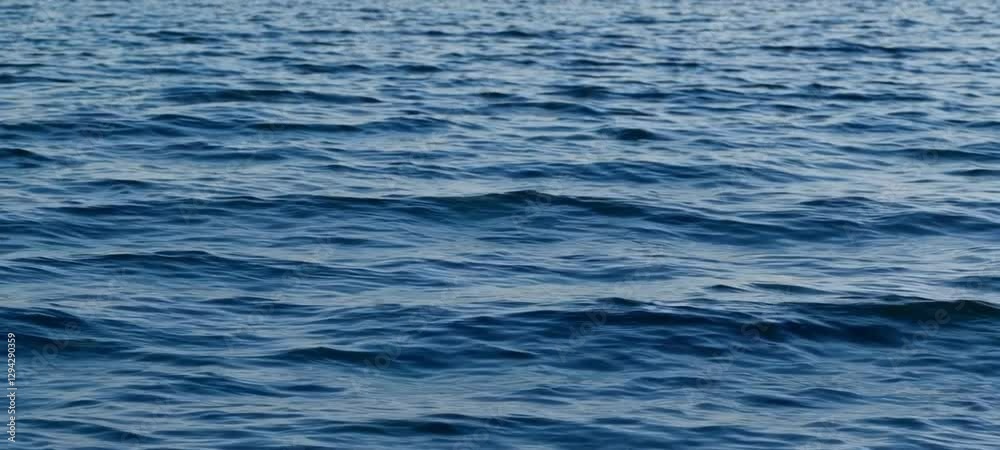 Dynamic ocean waves rolling in a continuous rhythmic motion under clear skies Dynamic ocean waves rolling in a continuous rhythmic motion under clear skies