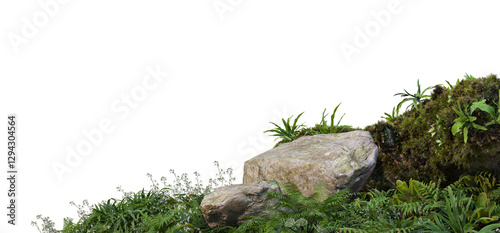 3D render foreground stump with moss and decorative tropical plants On a transparent background