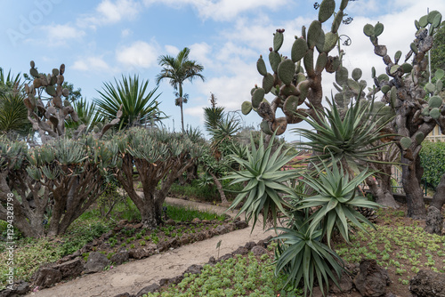 Wallpaper Mural Plants and greenery in the botanical garden.  Torontodigital.ca