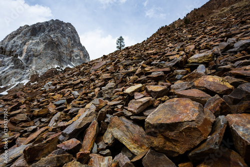 Photography Tungsten in the mountains of central California.