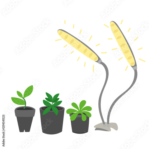 Seedlings growing in cups under lamps in flat cartoon design. Led lightning with full spectrum and sunlight effect for indoor plant gardening, sowing and domestic greenhouse. Vector illustration
