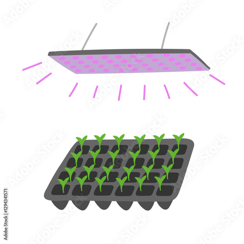 Seedlings growing in tray under lamp in flat cartoon design. Led lightning with full spectrum and sunlight effect for indoor plant gardening, sowing and domestic greenhouse. Vector illustration
