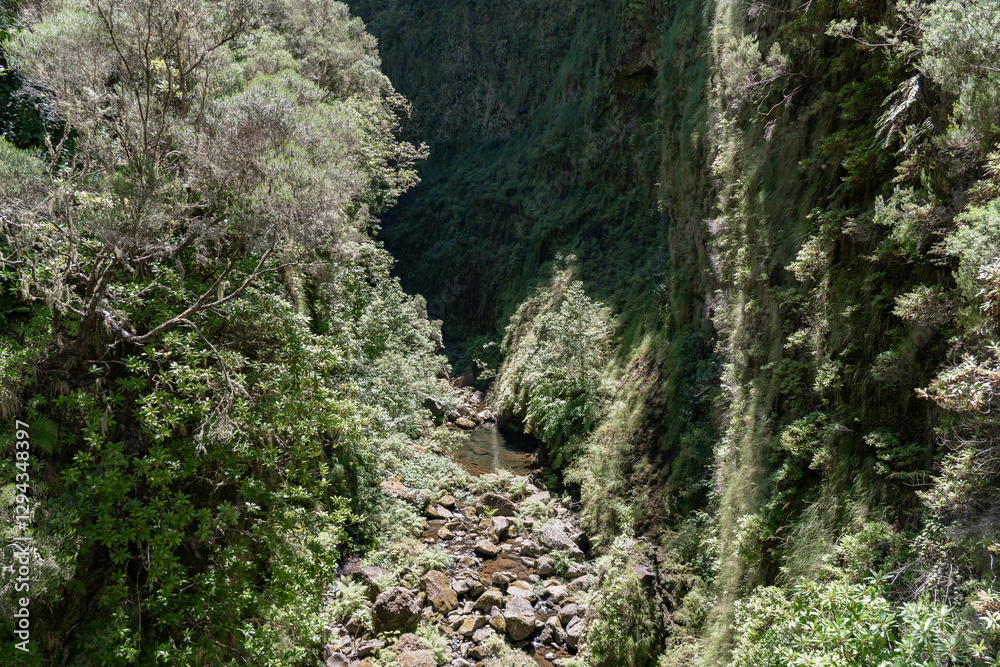 Beautiful views during hiking the irrigation system also called levada. Beautiful views during hiking the irrigation system also called levada.