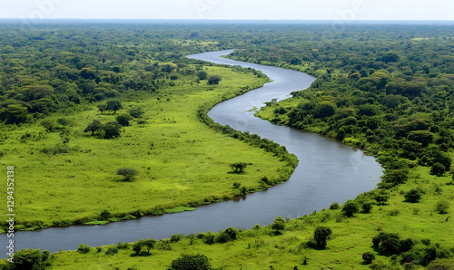Aerial Perspective of a Serpentine River Flowing Through Green Landscape