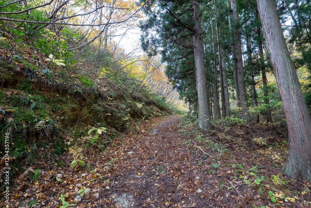 Naklejka premium Historic old road “Salt Road” which is also a long distance hiking course and its surroundings