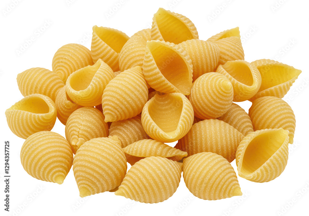 Isolated Pile of Raw Shell Pasta Isolated Pile of Raw Shell Pasta