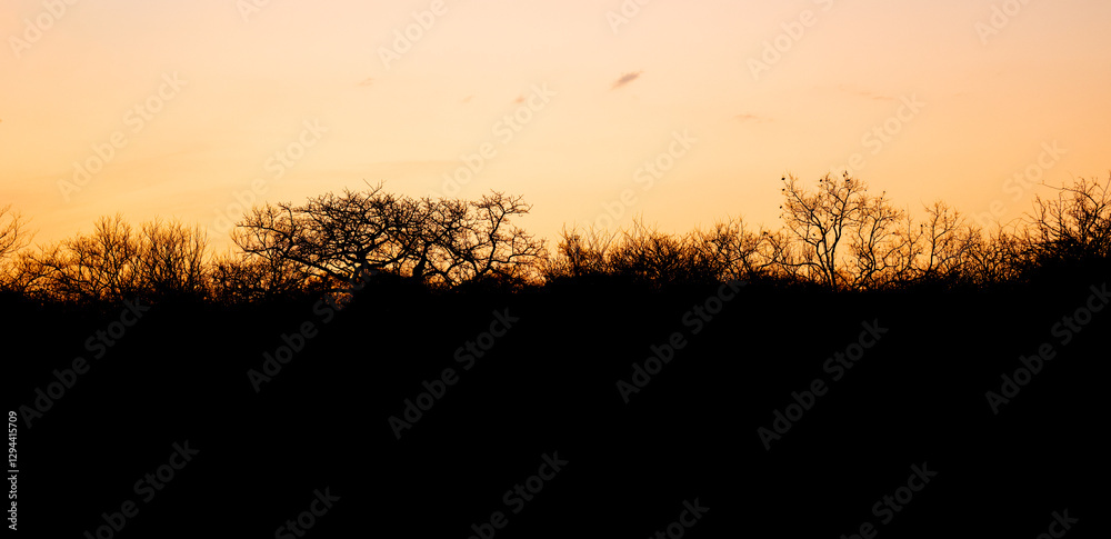 Landschaftsbild - Sonnenuntergang im Krüger National Park - Kruger Nationalpark Südafrika