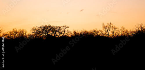 Obraz na płótnie Landschaftsbild - Sonnenuntergang im Krüger National Park - Kruger Nationalpark Südafrika w salonie