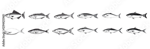 A set of vector illustrations featuring mackerel fish icons, drawn in a vintage woodcut engraving style.