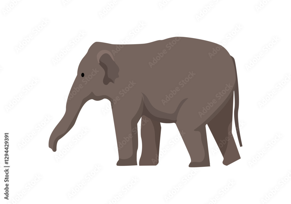 Fototapeta premium Elephant Graphic