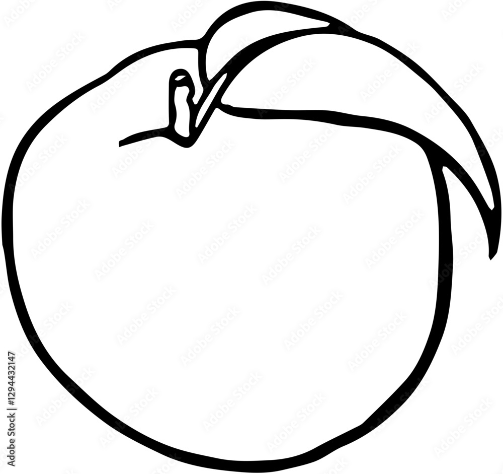 Fruit. Hand drawn vector isolated sketch. Nectarine Fruit. Hand drawn vector isolated sketch. Nectarine