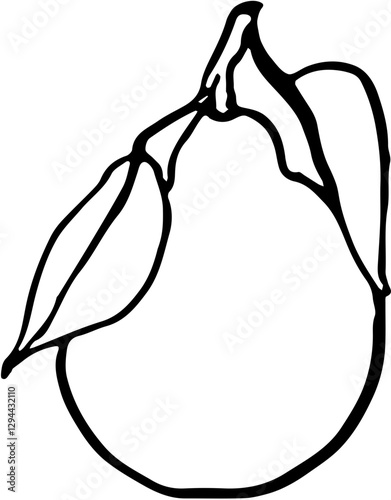 Fruit. Hand drawn vector isolated sketch. Minneola