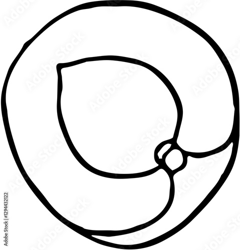 Fruit. Hand drawn vector isolated sketch. Nectarine 