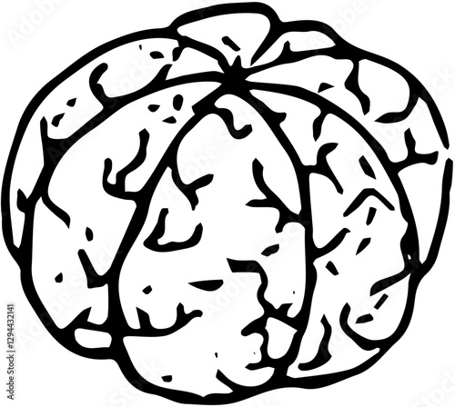 Fruit. Hand drawn vector isolated sketch. Mandarin