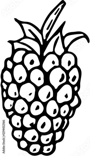 Fruit. Hand drawn vector isolated sketch. Longanberry